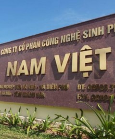 Tổng giám đốc Nam Việt (ANV) tăng sở hữu trong khi con trai bị bán giải chấp cổ phiếu