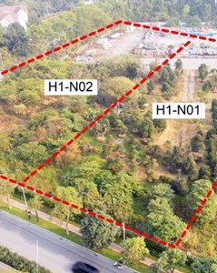 Hà Nội: Giao hơn 10.000m² đất tại Long Biên cho chủ đầu tư xây dựng nhà ở biệt thự 