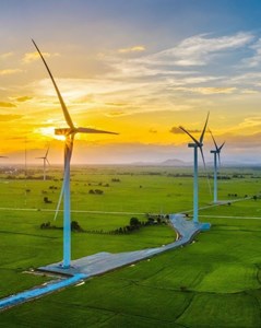 Quảng Trị: Chấp thuận chủ trương đầu tư dự án nhà máy điện gió hơn 1.200 tỷ đồng 