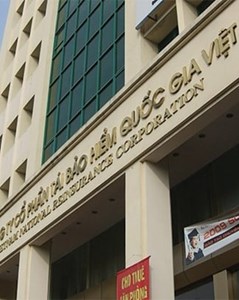 Dù lãi ròng quý I/2025 giảm một nửa, Vinare (VNR) dự chi hơn 182 tỷ đồng trả cổ tức