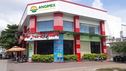 Lỗ lũy kế hơn 277 tỷ đồng, lãnh đạo Angimex (AGM) nói công ty vẫn có thể tiếp tục hoạt động