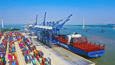 Chấp thuận đầu tư 4 bến cảng container gần 25.000 tỷ đồng tại Hải Phòng