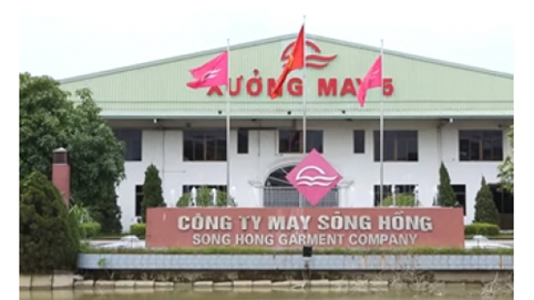 May Sông Hồng (MSH) sắp phát hành cổ phiếu thưởng tỷ lệ 50%
