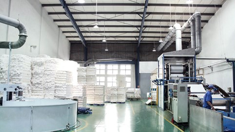Bông Bạch Tuyết (BBT) lên kế hoạch tăng gấp đôi vốn, chuẩn bị chuyển sàn