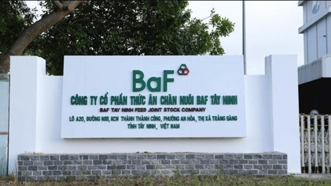 Thương vụ 'chớp nhoáng' của BaF Việt Nam: Vừa hoàn tất sở hữu đã vội bán lại trang trại heo cho chủ cũ