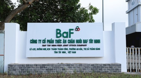 Quý I/2024, Nông nghiệp BaF Việt Nam (BAF) báo lãi 119 tỷ đồng, gấp 30,5 lần cùng kỳ