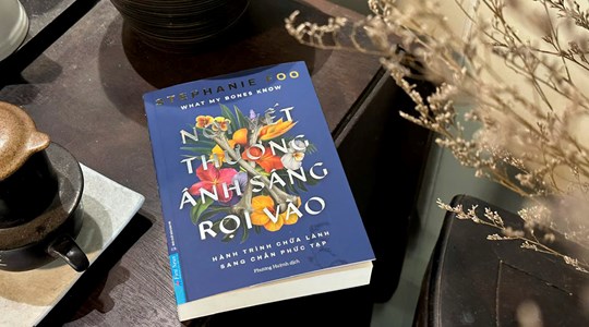 ‘Nơi vết thương ánh sáng rọi vào’ - Bức tranh đa màu và chân thực về Sang chấn Phức tạp