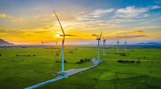Quảng Trị: Chấp thuận chủ trương đầu tư dự án nhà máy điện gió hơn 1.200 tỷ đồng 