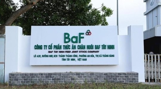 Nông nghiệp BAF Việt Nam (BAF) tiếp tục thâu tóm thêm công ty mới vào đầu năm 2025