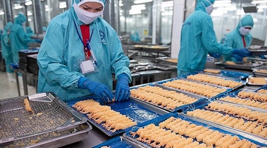 Thực phẩm Sao Ta (FMC) báo doanh số tăng 43% trong nửa đầu năm