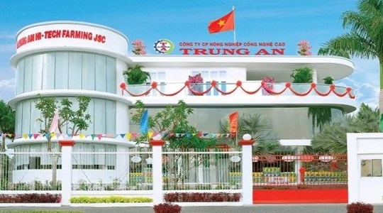 CEO Trung An (TAR) chi hơn 5 tỷ đồng mua cổ phiếu