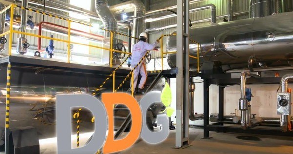 Đầu tư Công nghiệp Xuất nhập khẩu Đông Dương (DDG) có Chủ tịch mới từ Eagles Group, đặt mục tiêu lợi nhuận 12 tỷ đồng năm 2025