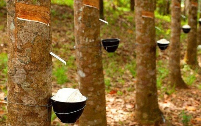 Chứng khoán tuần qua: Khối ngoại bán ròng hàng trăm tỷ, cổ phiếu ITA bị hủy niêm yết - Ảnh 2 Chứng khoán tuần qua: Khối ngoại bán ròng hàng trăm tỷ, cổ phiếu ITA bị hủy niêm yết - Ảnh 2