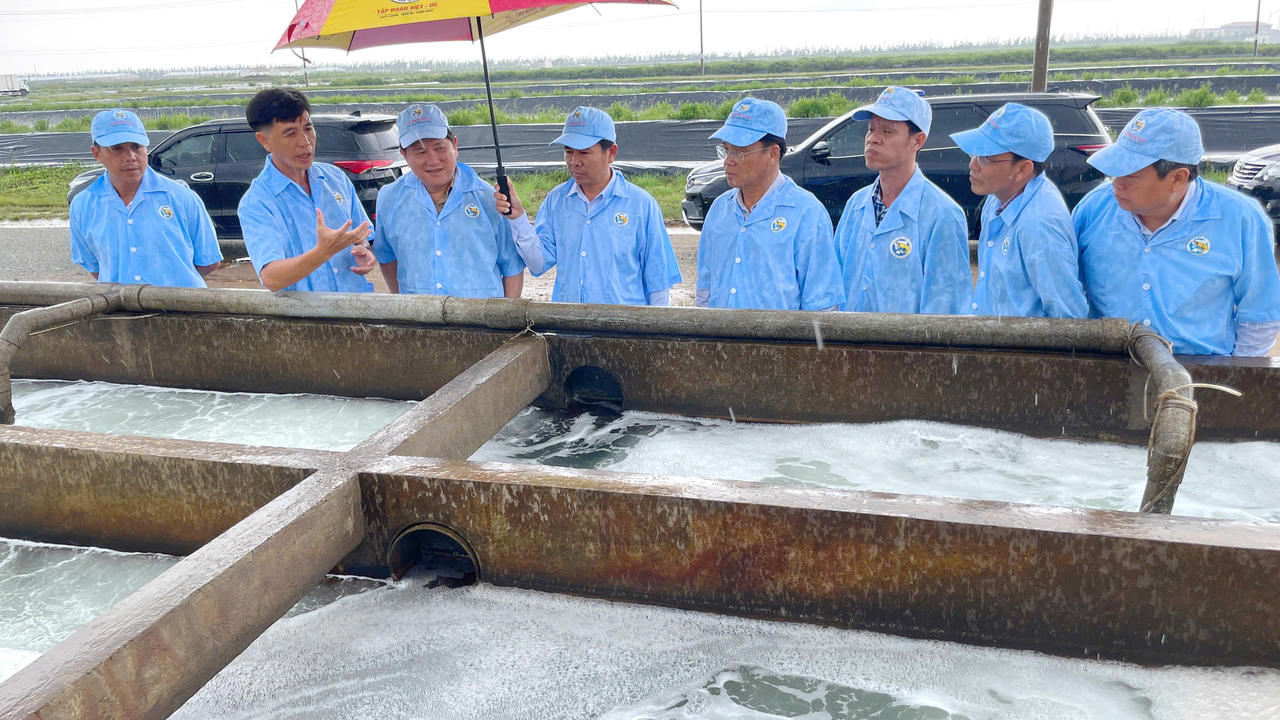 Ông Lê Văn Sử tham quan khu nuôi tôm Công ty Cổ phần Việt Úc Nhà Mát.