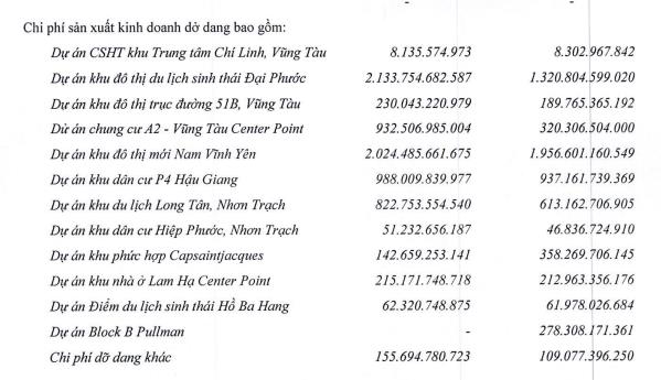 DIC Corp (DIG) giải thể một chi nh&#225;nh tại B&#224; RỊa - Vũng T&#224;u th&#224;nh lập từ năm 2019 - Ảnh 2