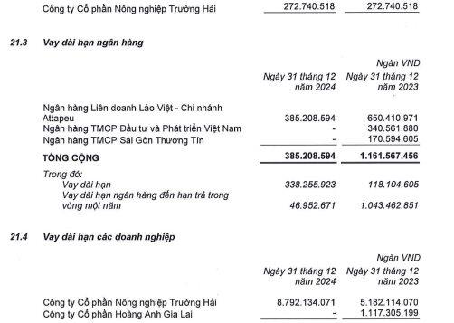 Nợ nần chồng chất, HAGL Agrico (HNG) tiếp tục &#39;chỉ c&#242;n xương&#39; sau năm thua lỗ ngh&#236;n tỷ - Ảnh 2