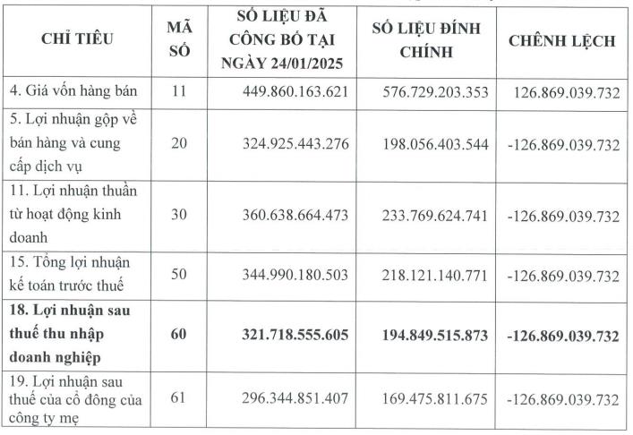 Viconship đ&#237;nh ch&#237;nh B&#225;o c&#225;o t&#224;i ch&#237;nh qu&#253; IV/2024, lợi nhuận ‘bốc hơi’ gần 127 tỷ đồng - Ảnh 1