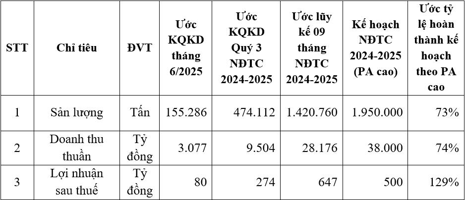 Bảng tổng hợp ước kết quả kinh doanh hợp nhất của HSG 09 tháng NĐTC 2024 - 2025 Bảng tổng hợp ước kết quả kinh doanh hợp nhất của HSG 09 tháng NĐTC 2024 - 2025