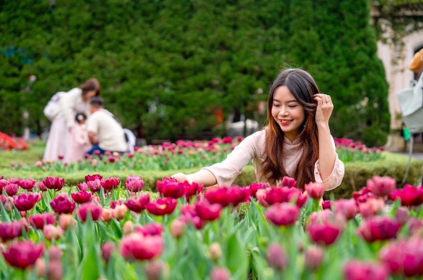 Thưởng ngoạn h&#224;ng ngh&#236;n b&#244;ng tulip qu&#253; hiếm tr&#234;n đỉnh B&#224; N&#224; dịp Tết Nguy&#234;n đ&#225;n - Ảnh 1