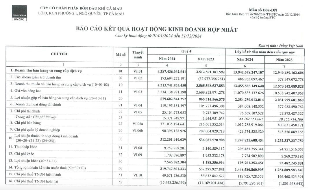 D&#249; &#39;hụt hơi&#39; trong qu&#253; IV/2024, Đạm C&#224; Mau (DCM) vẫn b&#225;o l&#227;i sau thuế cả năm tăng 20% - Ảnh 1