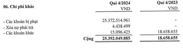 Lợi nhuận cả năm 2024 của Hodeco (HDC) &#39;sụt&#39; tới 50% so với c&#249;ng kỳ  - Ảnh 3