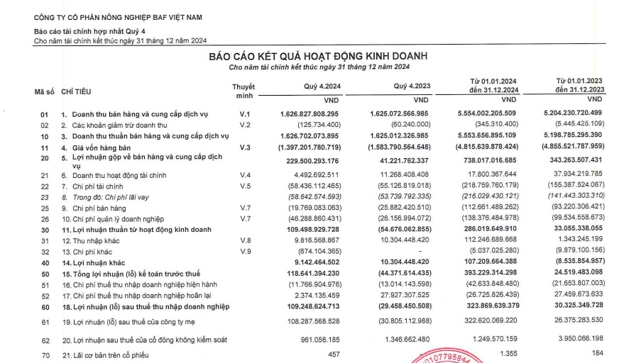 N&#244;ng nghiệp BaF Việt Nam (BAF) b&#225;o l&#227;i sau thuế năm 2024 tăng mạnh gấp 10,6 lần - Ảnh 1