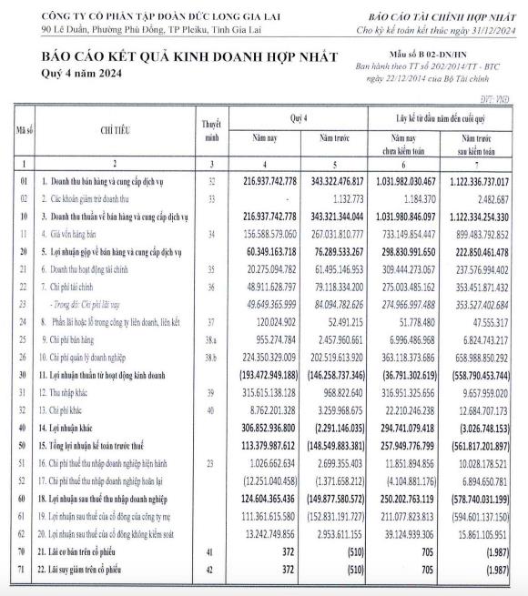 Nhờ được ng&#226;n h&#224;ng miễn giảm l&#227;i vay, Đức Long Gia Lai (DLG) b&#225;o l&#227;i 124 tỷ đồng trong qu&#253; IV/2024 - Ảnh 1