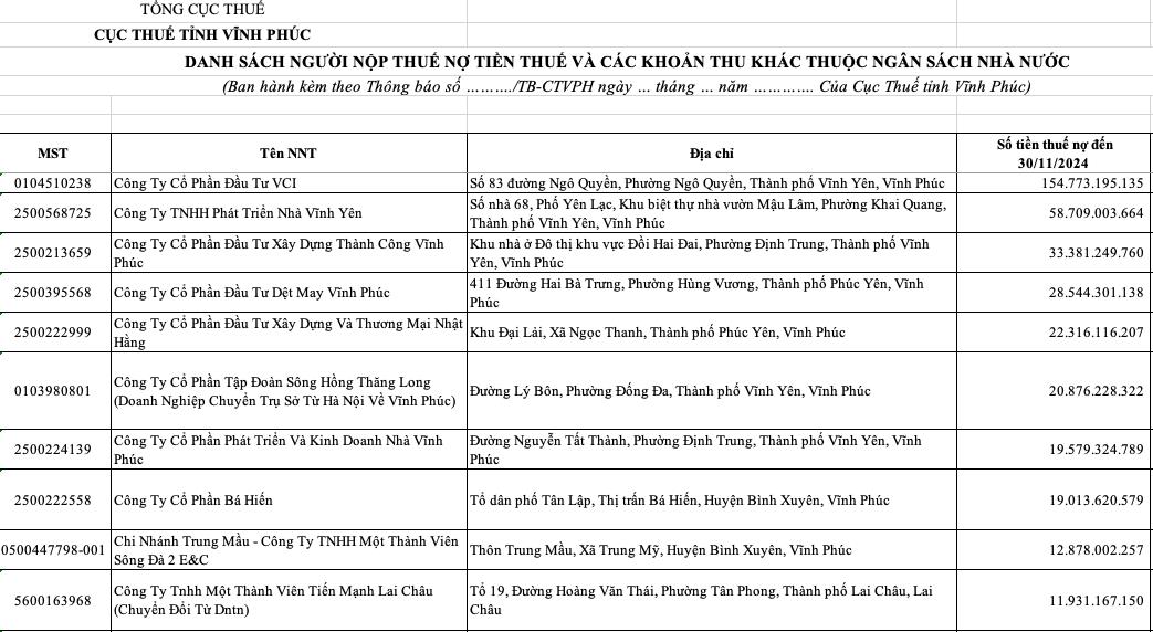 C&#244;ng ty Đầu tư VCI đứng đầu danh s&#225;ch nợ tiền thuế ở tỉnh VĨnh Ph&#250;c với hơn 154 tỷ đồng - Ảnh 1