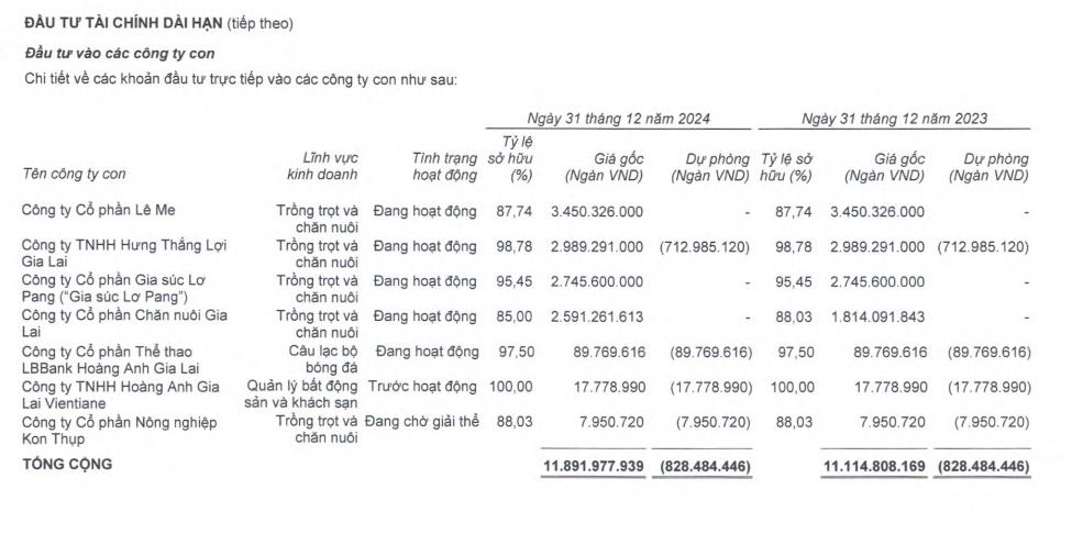 Ho&#224;ng Anh Gia Lai (HAG) ho&#224;n tất giải thể c&#244;ng ty trong lĩnh vực trồng trọt v&#224; chăn nu&#244;i - Ảnh 2