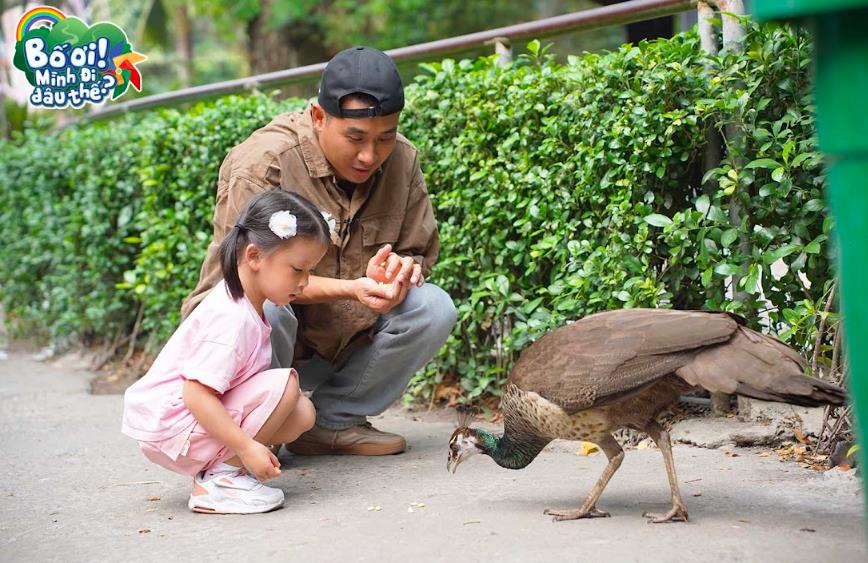 Bố ơi, mình đi đâu thế? 2025 - Hành trình tập sự 1: Hỏi, khóc, cười - các cặp bố con 'triệu view' làm khuynh đảo Thảo Cầm Viên Sài Gòn - Ảnh 1 Bố ơi, mình đi đâu thế? 2025 - Hành trình tập sự 1: Hỏi, khóc, cười - các cặp bố con 'triệu view' làm khuynh đảo Thảo Cầm Viên Sài Gòn - Ảnh 1