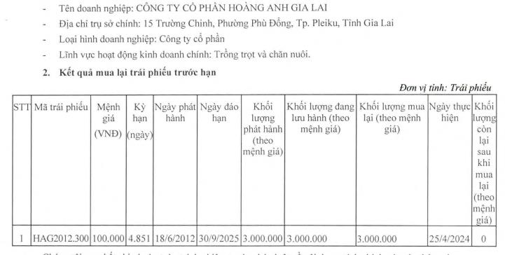 Ho&#224;ng Anh Gia Lai (HAG) mua lại 300 tỷ đồng tr&#225;i phiếu trước hạn 1 năm  - Ảnh 1