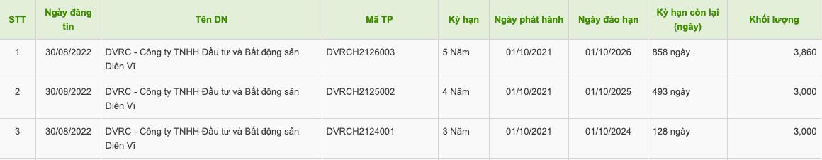Không công bố thông tin trái phiếu, Bất động sản Diên Vĩ bị phạt 92,5 triệu đồng - Ảnh 2 Không công bố thông tin trái phiếu, Bất động sản Diên Vĩ bị phạt 92,5 triệu đồng - Ảnh 2