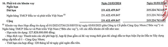 Cổ đông của Cảng Quy Nhơn (QNP) sắp chi hơn 48 tỷ đồng tiền trả cổ tức, Vinalines nhận về gần 36,4 tỷ đồng - Ảnh 2 Cổ đông của Cảng Quy Nhơn (QNP) sắp chi hơn 48 tỷ đồng tiền trả cổ tức, Vinalines nhận về gần 36,4 tỷ đồng - Ảnh 2