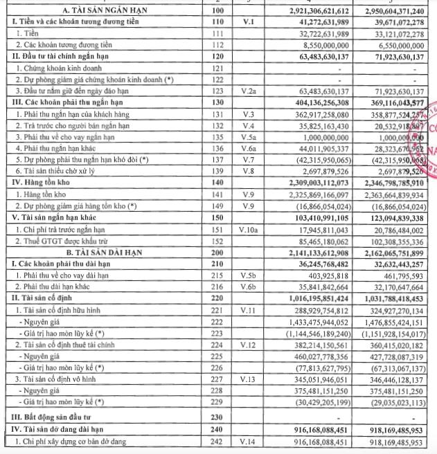 Gi&#225; xuất khẩu giảm, l&#227;i sau thuế qu&#253; I/2024 của C&#244;ng ty Nam Việt (ANV) sụt mạnh tới 82% - Ảnh 2