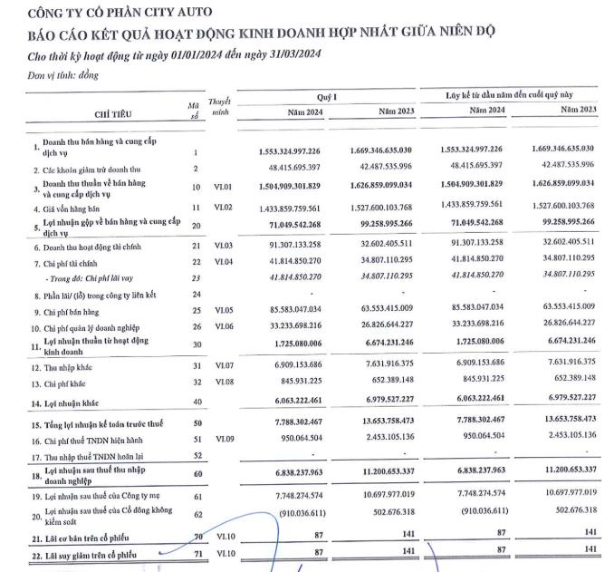 City Auto (CTF) b&#225;o l&#227;i sau thuế qu&#253; I/2024 giảm gần 40%, cổ đ&#244;ng lớn của CTF nợ bảo hiểm x&#227; hội tới 7 th&#225;ng - Ảnh 1