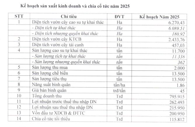 Cao su Đồng Phú (DPR) đặt mục tiêu kinh doanh năm 2025 'đi lùi' - Ảnh 1 Cao su Đồng Phú (DPR) đặt mục tiêu kinh doanh năm 2025 'đi lùi' - Ảnh 1