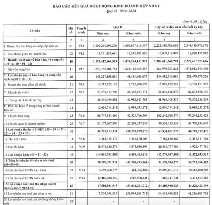 Gi&#225; vốn h&#224;ng b&#225;n tăng chậm, C&#244;ng ty Nam Việt (ANV) b&#225;o l&#227;i hơn 17 tỷ đồng trong qu&#253; II/2024 - Ảnh 1