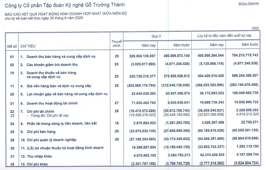 Gỗ Trường Thành (TTF) báo lãi 'khủng' vào bán niên năm 2025 - Ảnh 1 Gỗ Trường Thành (TTF) báo lãi 'khủng' vào bán niên năm 2025 - Ảnh 1