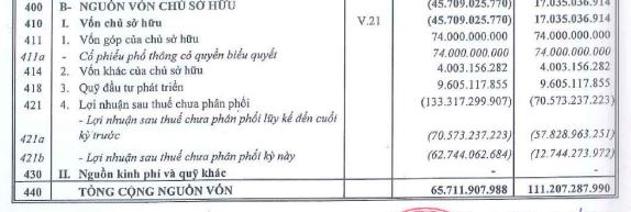 Legamex (LGM) ch&#224;o b&#225;n 4 triệu cổ phiếu ri&#234;ng lẻ cho c&#244;ng ty mẹ, dự thu về hơn 66,6 tỷ đồng để trả nợ - Ảnh 2