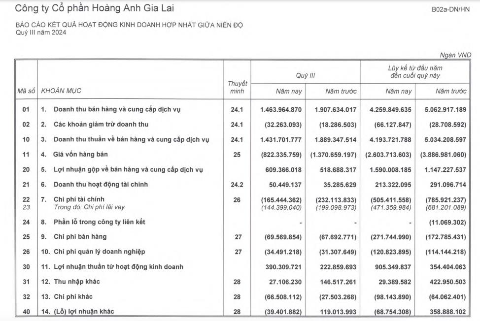 Nguồn thu mảng tr&#225;i c&#226;y v&#224; b&#225;n heo suy giảm, Ho&#224;ng Anh Gia Lai (HAG) vẫn b&#225;o l&#227;i qu&#253; III/2024 đạt gần 351 tỷ đồng - Ảnh 1