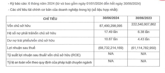 Lỗ sau thuế nửa đầu năm 2024 gần 69 tỷ đồng, c&#244;ng ty n&#224;y bất ngờ chi 640 tỷ đồng tất to&#225;n tr&#225;i phiếu - Ảnh 2