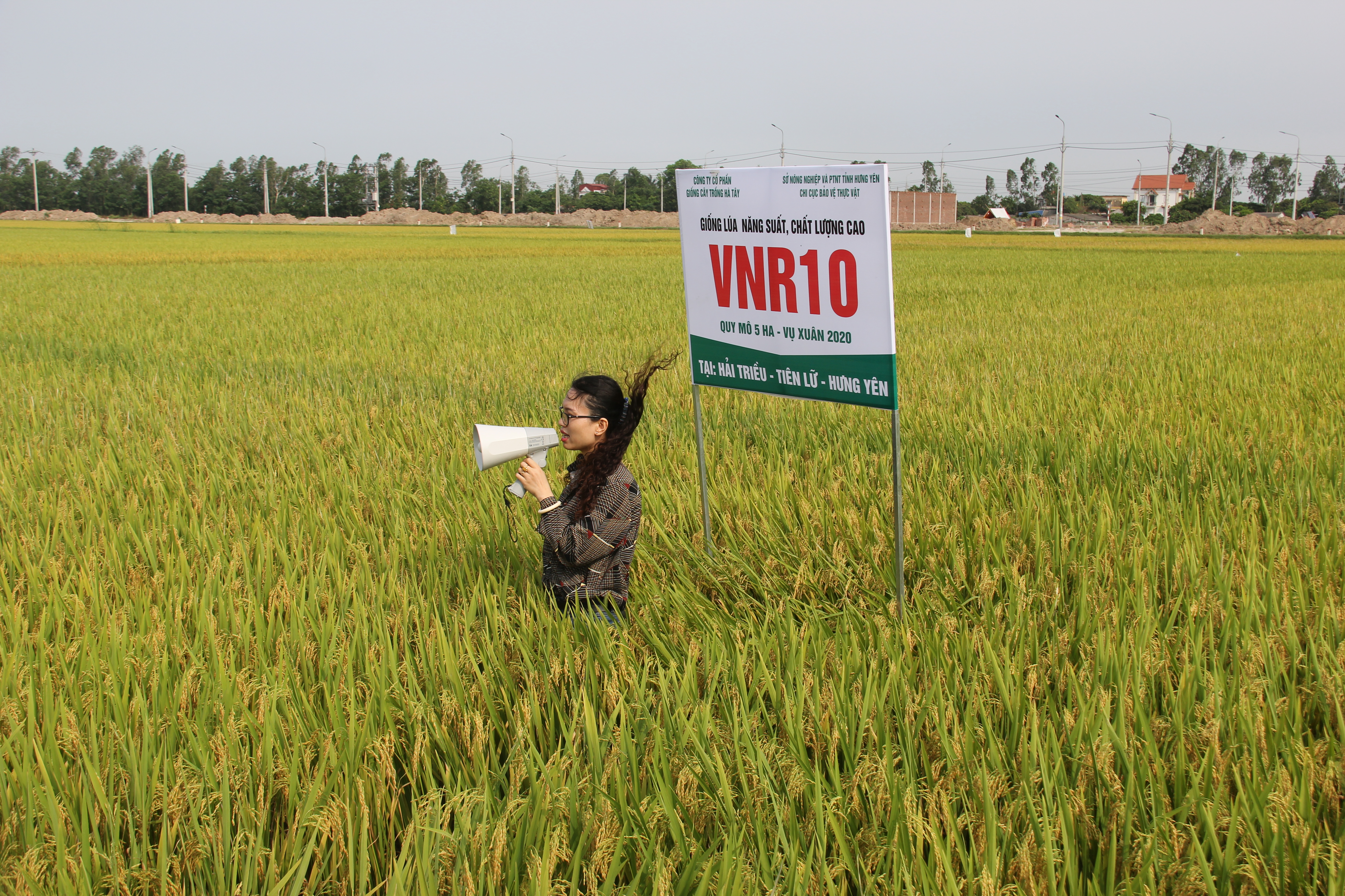 Hưng Y&#234;n: Điểm s&#225;ng về&#160;ph&#225;t triển kinh tế - x&#227; hội&#160;v&#224; x&#226;y dựng n&#244;ng th&#244;n mới - Ảnh 5