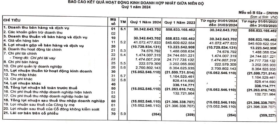 Nhựa Đ&#244;ng &#193; (DAG) ghi nhận doanh thu qu&#253; 1/2024 ở mức cực thấp, chỉ đạt khoảng 5% giai đoạn đỉnh cao năm 2022 - Ảnh 2