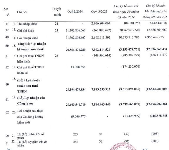 Thuduc House (TDH) bị cưỡng chế thuế hơn 91 tỷ đồng - Ảnh 3