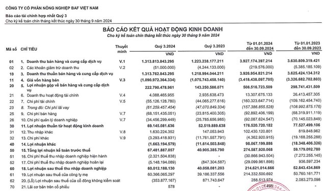 N&#244;ng nghiệp BAF Việt Nam (BAF) tiếp tục th&#226;u t&#243;m th&#234;m c&#244;ng ty mới v&#224;o đầu năm 2025 - Ảnh 2