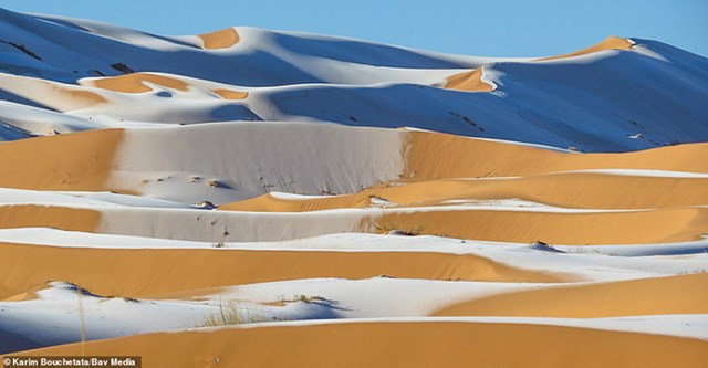 Bao phủ hầu hết Bắc Phi, sa mạc Sahara rộng 9,2 triệu km2 - tương đương nước Mỹ. N&oacute; đ&atilde; trải qua những biến đổi về nhiệt độ v&agrave; độ ẩm trong h&agrave;ng trăm ngh&igrave;n năm qua. C&aacute;c nh&agrave; khoa học dự đo&aacute;n rằng, trong khoảng 15.000 năm, sa mạc kh&ocirc; cằn c&oacute; thể được phủ xanh bởi c&acirc;y cối.