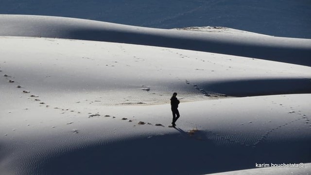 Nhiếp ảnh gia Karim Bouchetata ghi lại cảnh băng phủ trắng tr&ecirc;n c&aacute;t ở thị trấn nhỏ A&iuml;n S&eacute;fra, b&ecirc;n sa mạc Sahara, thuộc tỉnh Na&acirc;ma.