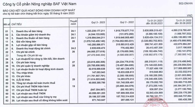 BaF Việt Nam (BAF) sắp th&#226;u t&#243;m một c&#244;ng ty ở Gia Lai, ch&#224;o b&#225;n cổ phiếu ESOP thấp hơn 60% thị gi&#225; thị trường  - Ảnh 1
