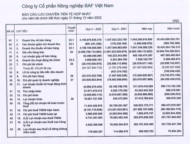 Ng&#224;nh chăn nu&#244;i heo gặp kh&#243;, l&#227;i năm 2022 của N&#244;ng nghiệp BAF Việt Nam (BAF) chỉ đạt 292 tỷ đồng - Ảnh 1