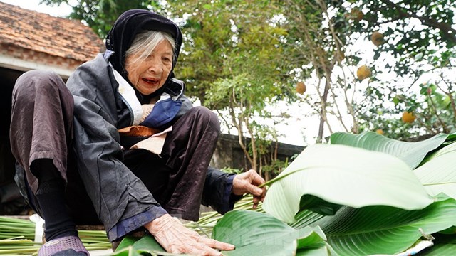 L&aacute; dong sau khi được phun rửa sạch sẽ để phơi kh&ocirc; r&aacute;o nước rồi b&oacute; lại từng b&oacute; chờ thương l&aacute;i đến mua hoặc tự vận chuyển đến những nơi cần ti&ecirc;u thụ. Theo người d&acirc;n ở đ&acirc;y, l&aacute; sau khi cắt để được 20 ng&agrave;y, mỗi ng&agrave;y tưới một &iacute;t nước. Hiện tại c&aacute;c gia đ&igrave;nh trong th&ocirc;n phần lớn l&agrave; cắt l&aacute; dong ở vườn về rồi xếp loại, b&oacute; th&agrave;nh từng b&oacute; nhỏ với số lượng 100 l&aacute;. Thời điểm đầu vụ, gi&aacute; dao động từ 100.000 đến 120.000 đồng/100 l&aacute; t&ugrave;y thuộc v&agrave;o to hay nhỏ.